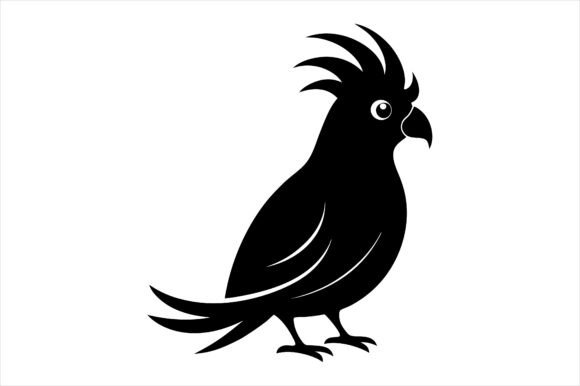 Budgerigar Vector Graphics & Print Materials Mockups
