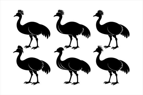 Cassowary Silhouettes: Graphics & Print Materials Mockups