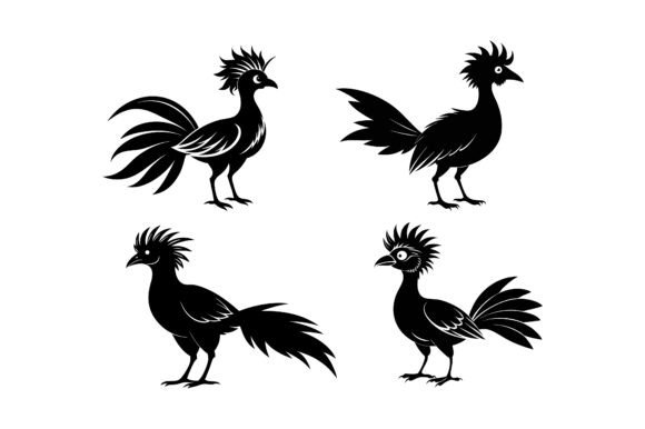 Hoatzin Graphics for Print Materials Mockups