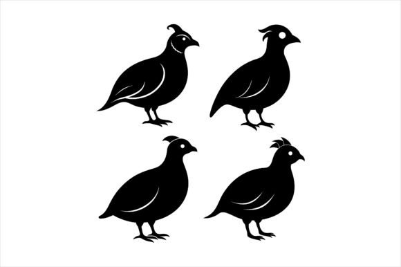Quail Silhouette Vector Icons: Graphics & Mockups